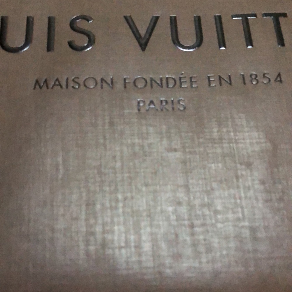 Louis Vuitton Paper Shopping Bag - Picture 3 of 7